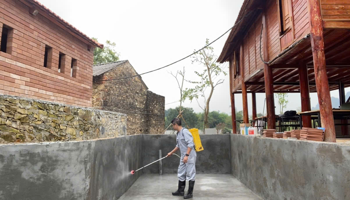 Camellia Retreat & Villa - bể bơi, sàn mái, tầng hầm sau 4 năm - ảnh 2
