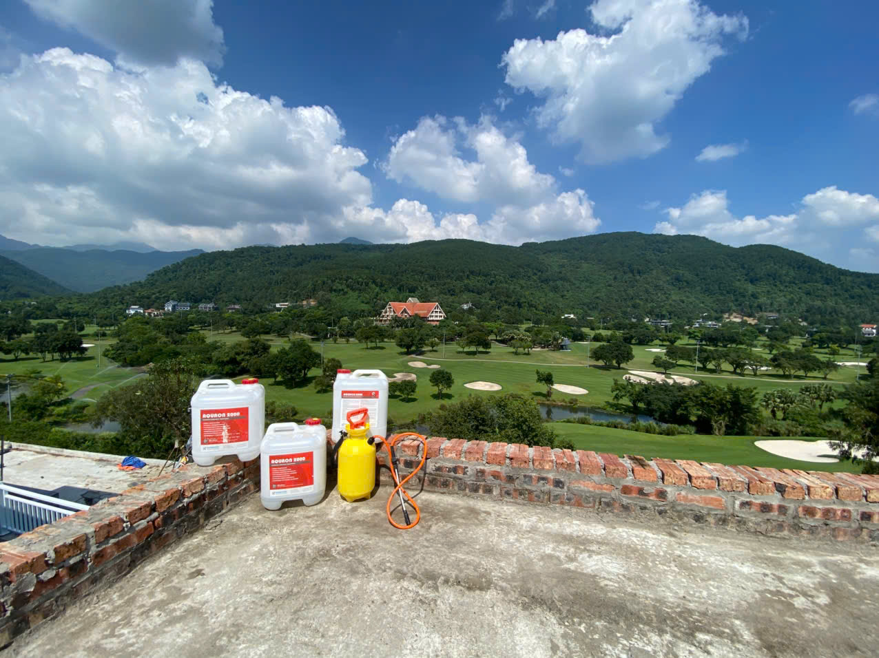 Camellia Retreat & Villa - bể bơi, sàn mái, tầng hầm sau 4 năm - ảnh 3